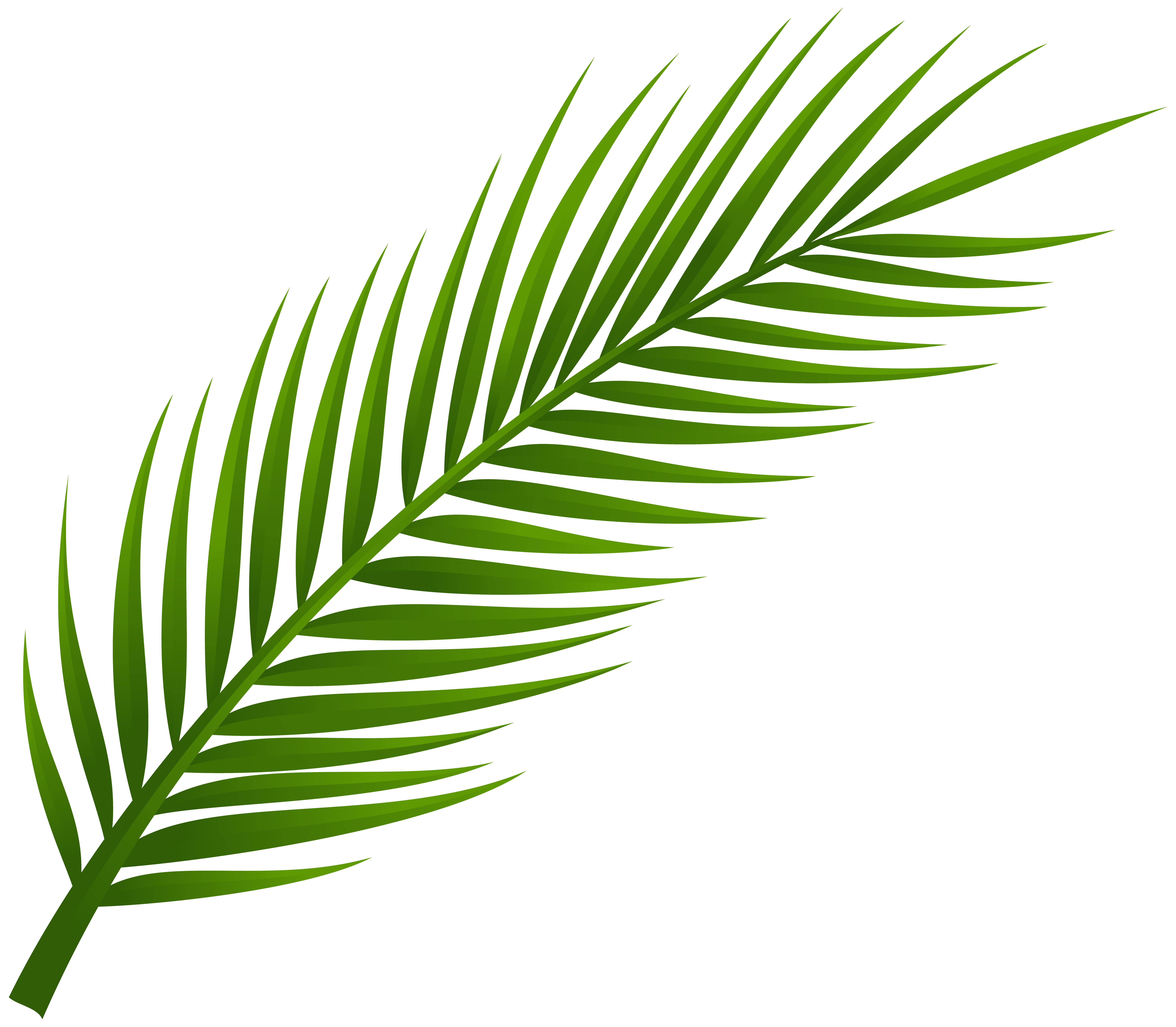 Daun majemuk